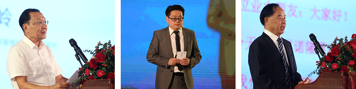 15447002177702063RNO.png 3.png